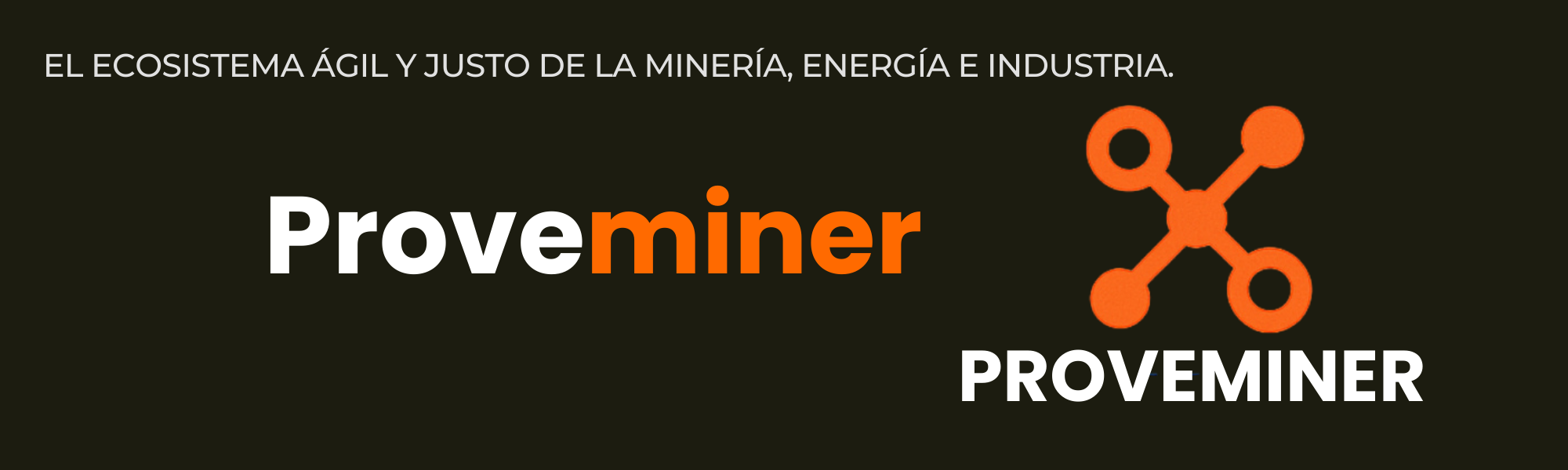 Estudios de prefactibilidad y factibilidad mineros — ProveMiner