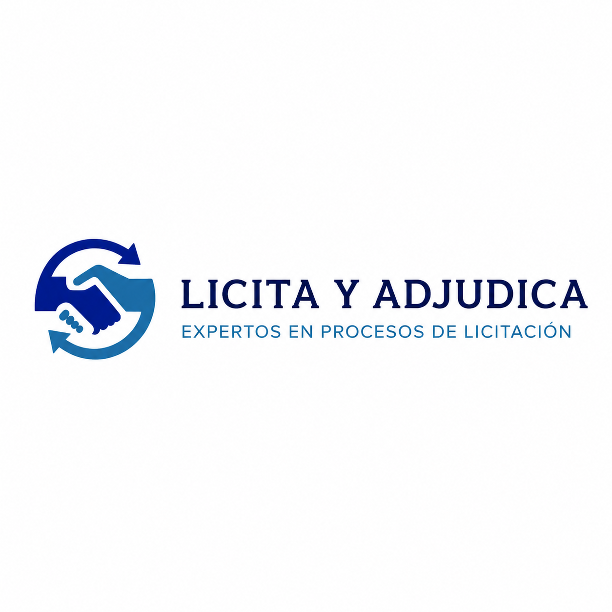 ByD Asesorias Profesionales SPA · Servicios de Ingenieria y Consultoria, Servicios Financieros y Comerciales B2B — ProveMiner