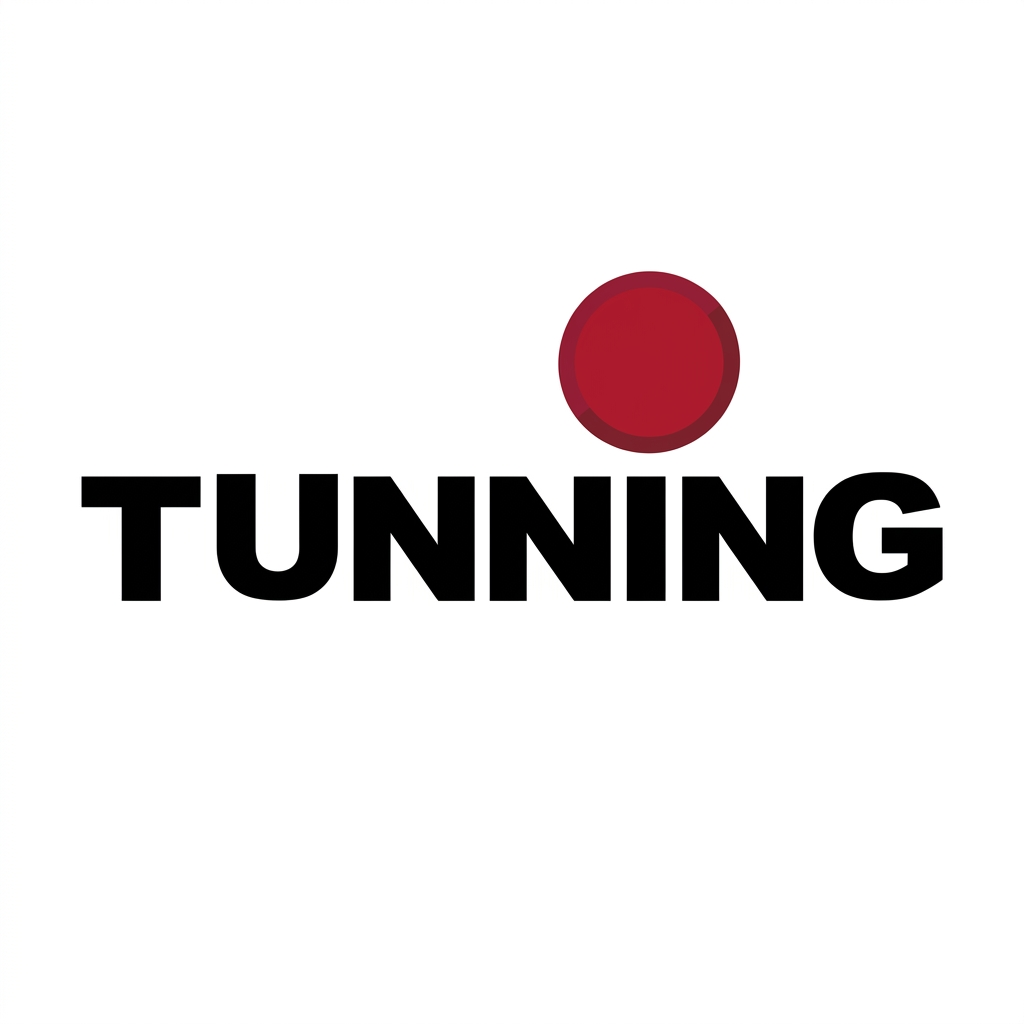 Tunning ingeniería SpA · Eléctrico, Control y Energía, Instrumentacion, Control y Automatizacion — ProveMiner